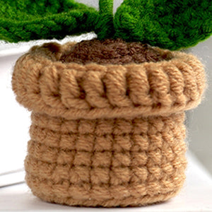 Hand-Knitted Crochet Flower with pot