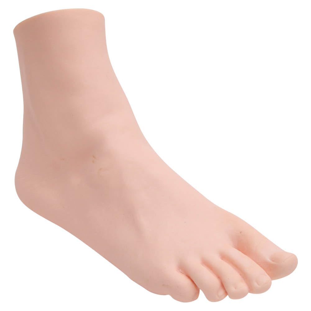 Lifelike Manikin Feet Lifesize Female Mannequin Foot