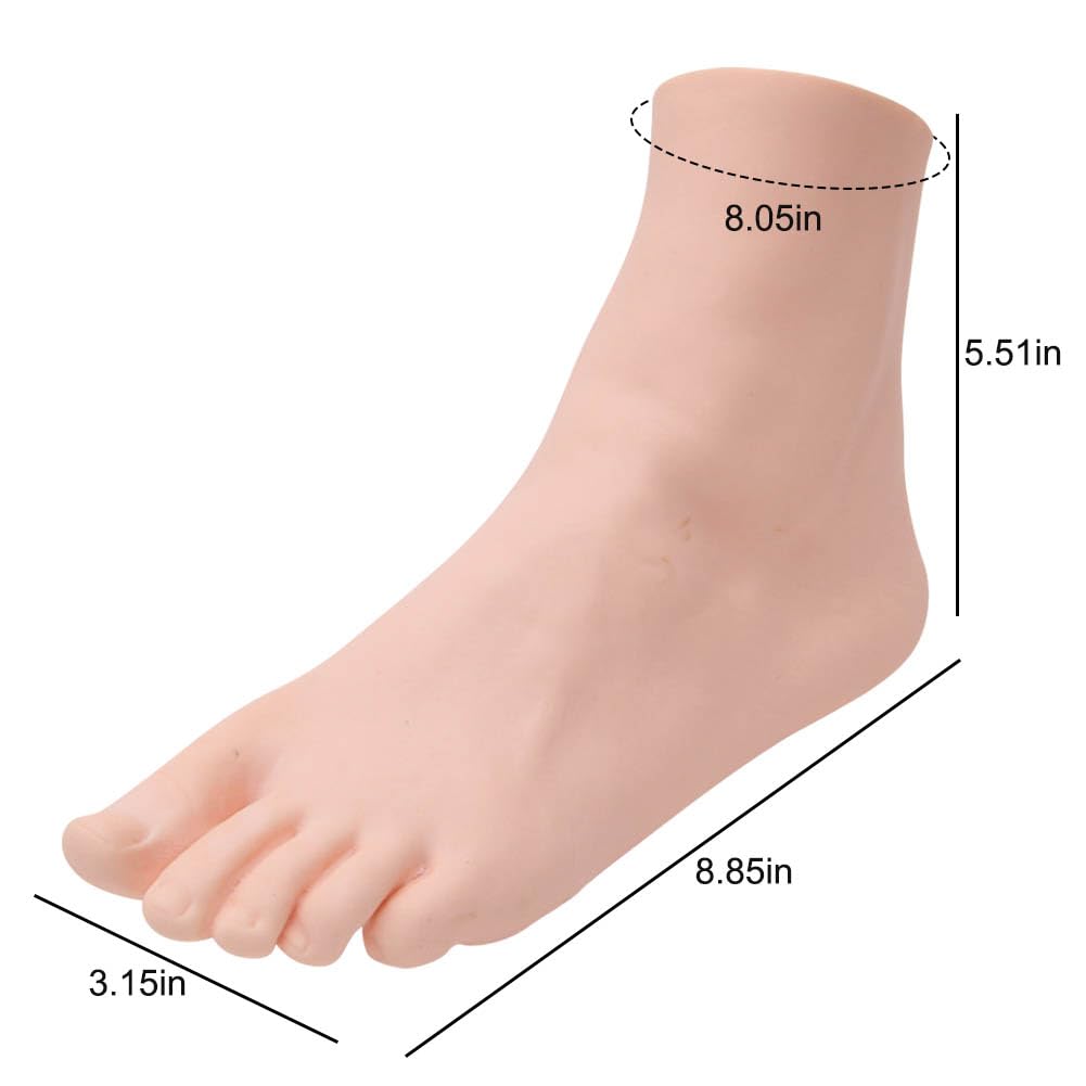 Lifelike Manikin Feet Lifesize Female Mannequin Foot