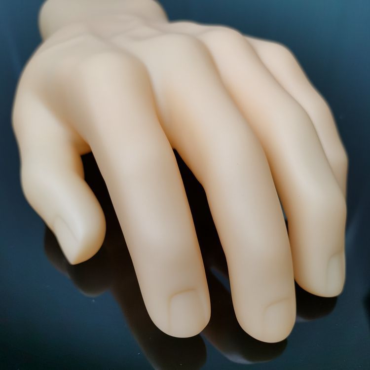 Unisex Hand Model Fake Human Hand