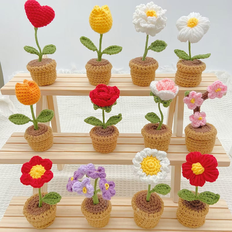 Hand-Knitted Crochet Flower with pot