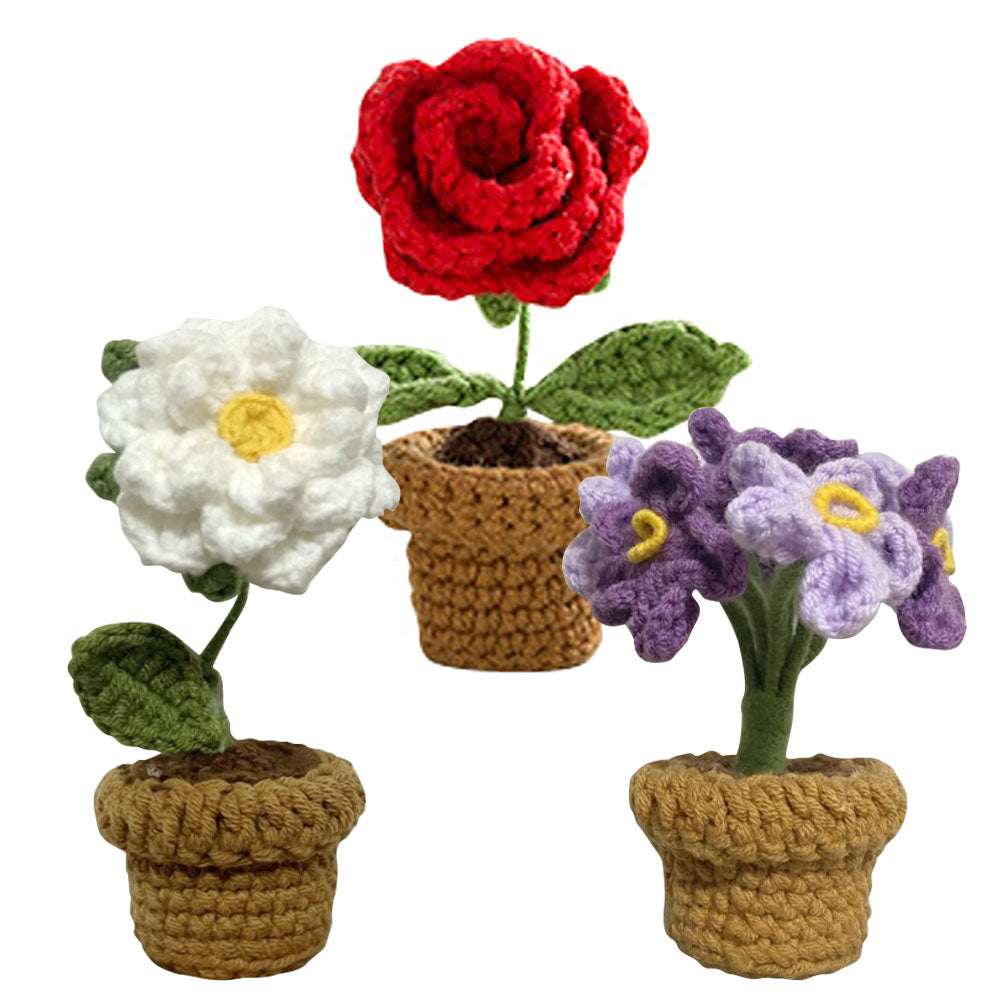 Hand-Knitted Crochet Flower with pot