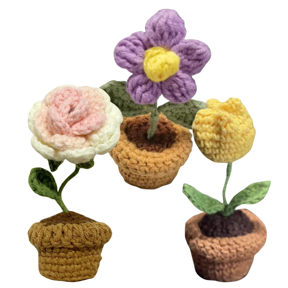 Hand-Knitted Crochet Flower with pot