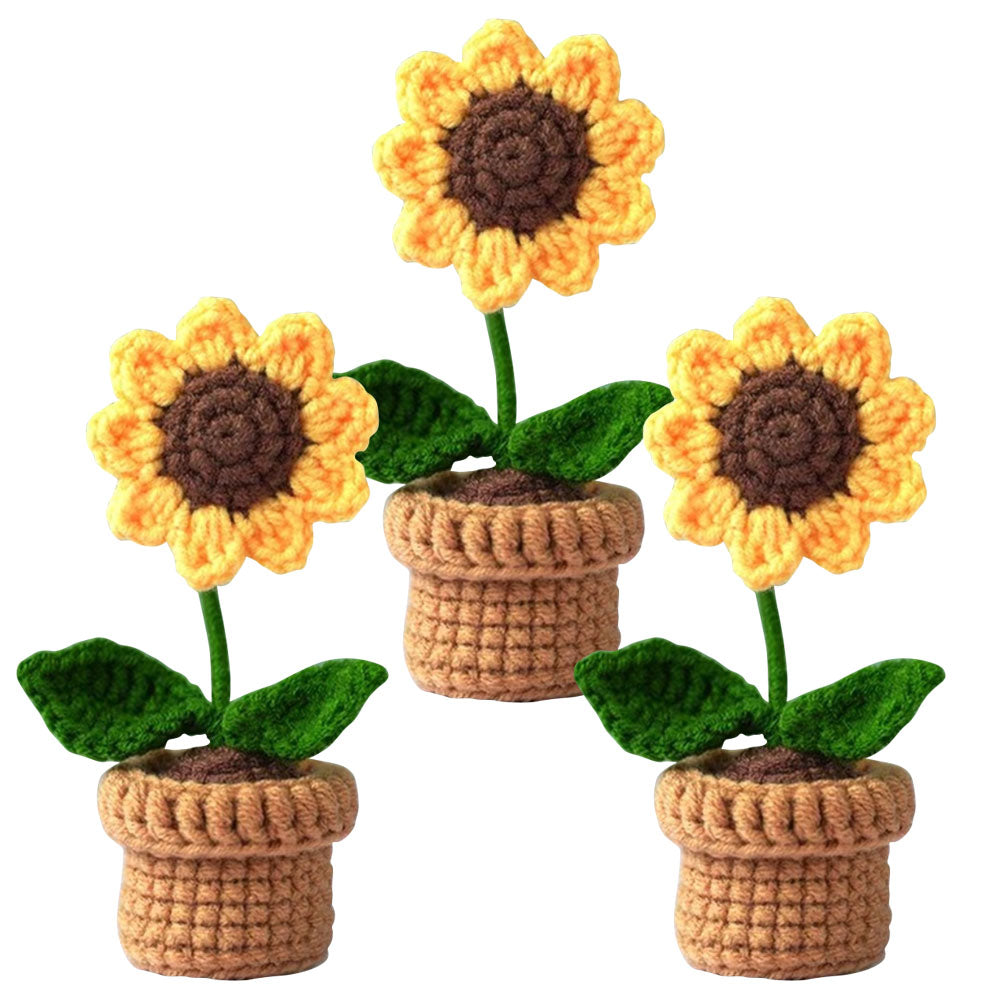 Hand-Knitted Crochet Flower with pot